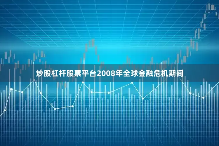 炒股杠杆股票平台2008年全球金融危机期间